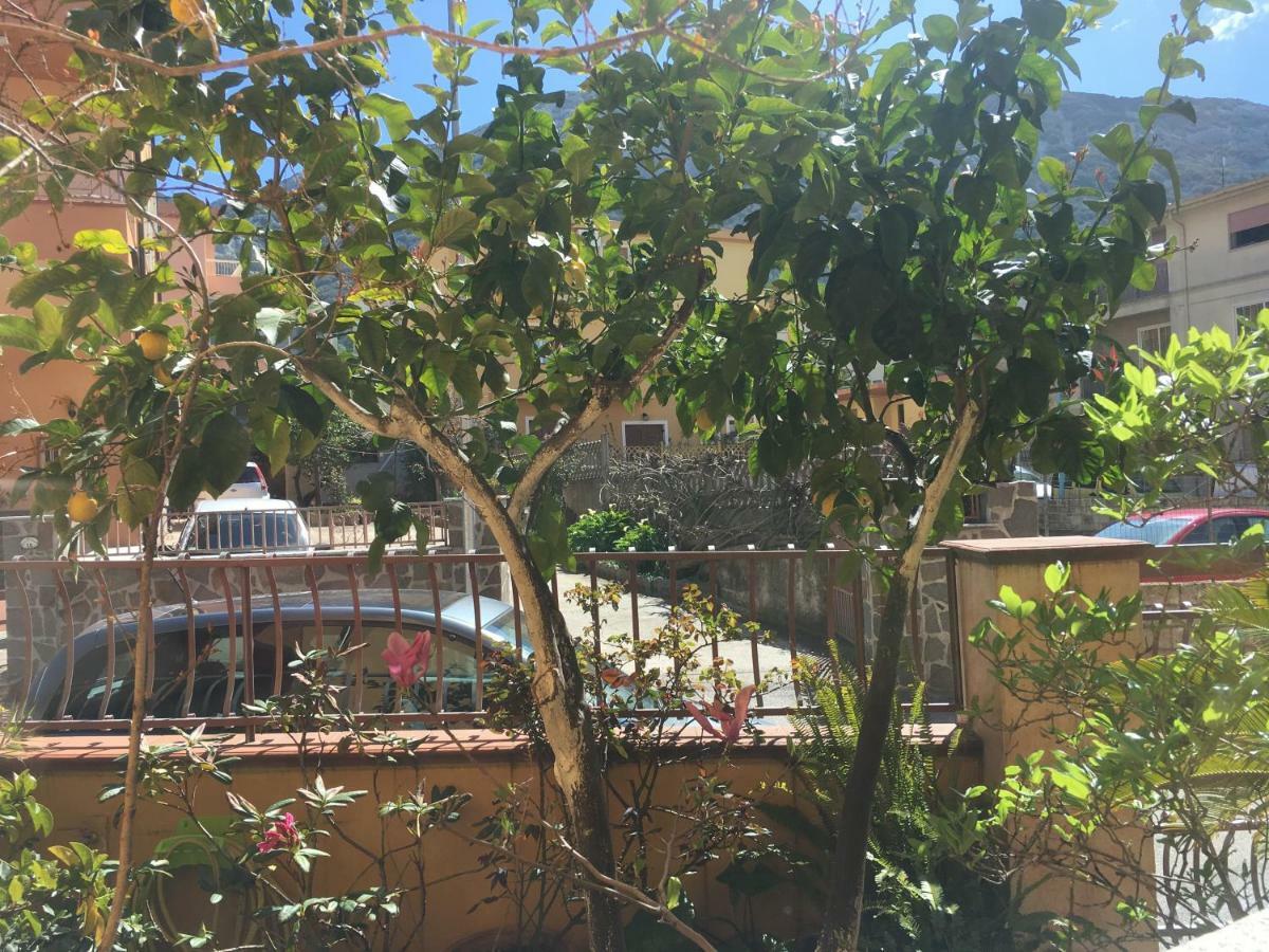 Casa Elena Apartment Dorgali Bagian luar foto